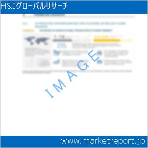 市場と産業調査レポートのイメージ